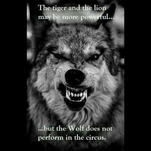 Meet your Posher, Buck